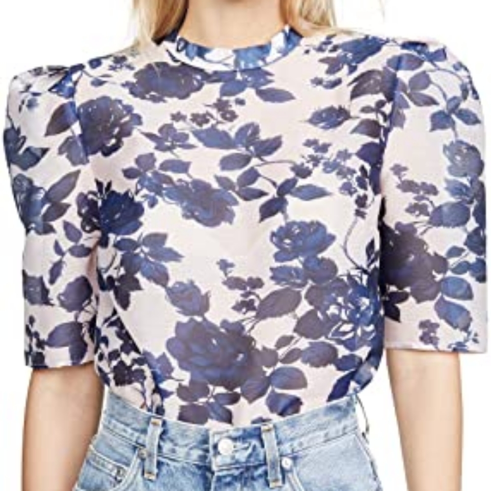 NWT Keepsake the Label Halo Floral Sheer Puff Sleeve Top